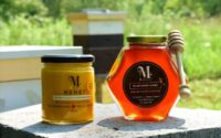 Mellona Honey.jpg